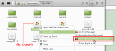Right click on 'DynaFit', select 'Open with Wine'